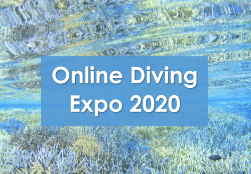 「Online Diving EXPO2020」